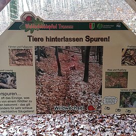 Säugetiere und Jagd (2)