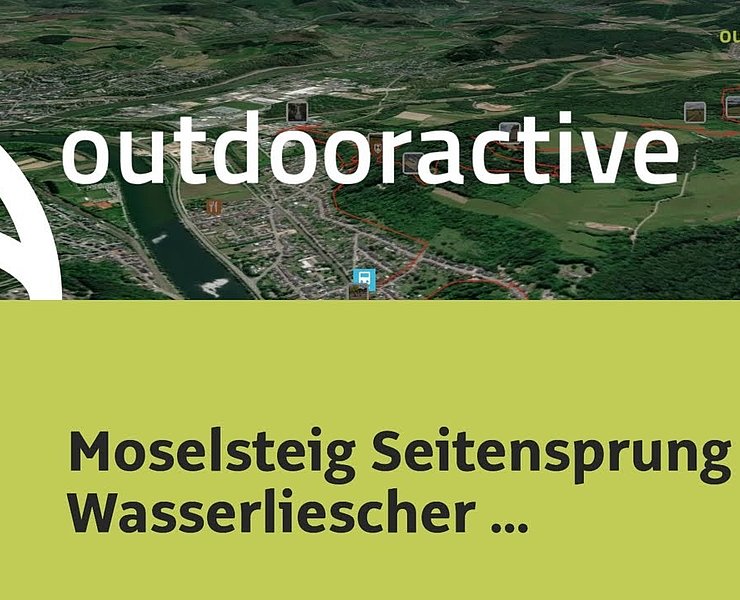 Wanderung in Saar-Ruwer: Moselsteig Seitensprung Wasserliescher Panoramasteig