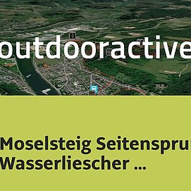 Wanderung in Saar-Ruwer: Moselsteig Seitensprung Wasserliescher Panoramasteig