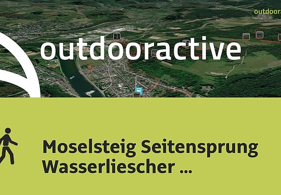 Wanderung in Saar-Ruwer: Moselsteig Seitensprung Wasserliescher Panoramasteig