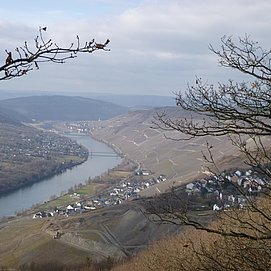 Aussicht ins Moseltal vom Aussichtspunkt Maria Zill