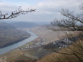 Aussicht ins Moseltal vom Aussichtspunkt Maria Zill