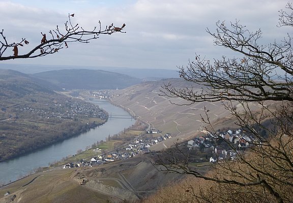 Aussicht ins Moseltal vom Aussichtspunkt Maria Zill