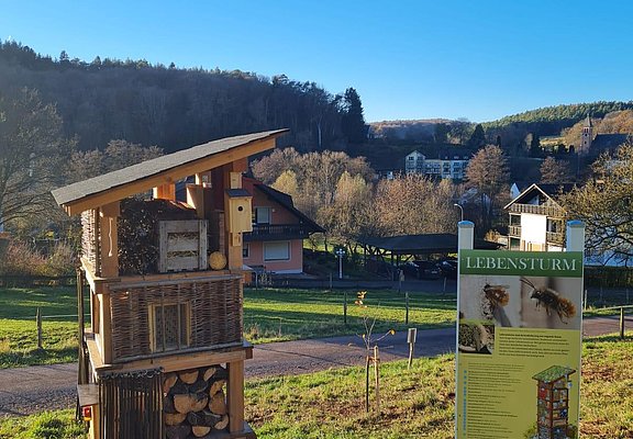 Lebensturm (5)