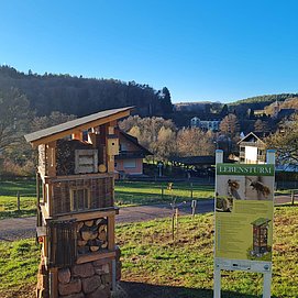 Lebensturm (5)