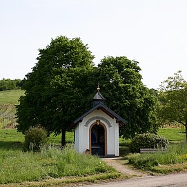Ferienwohnung Im Hanfgarten (22)