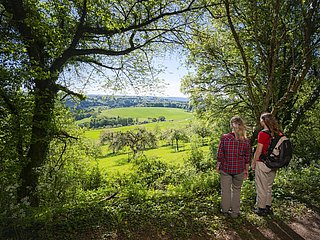 Aussichtspunkt Talblick (01)