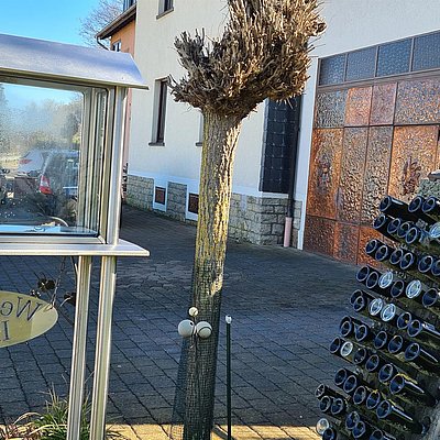 Foto: Weingut Bamberg Oberbillig (1)