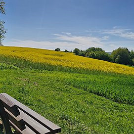 Ausblick auf den Saargau von Kastel (1)