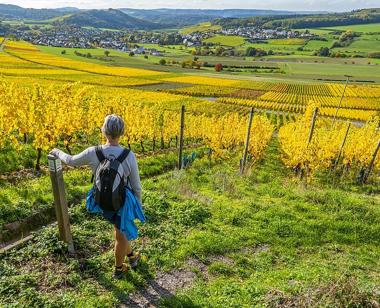 Karlskopf-Panoramaweg (4)