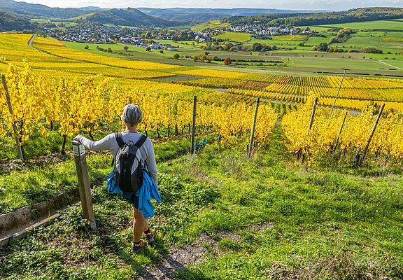 Karlskopf-Panoramaweg (4)