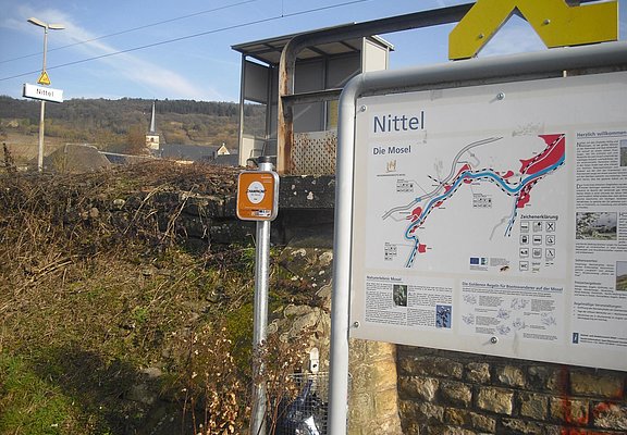 Nittel (1)