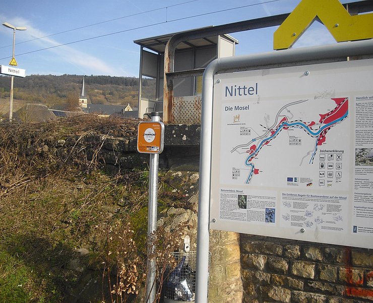 Nittel (1)