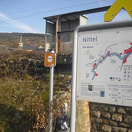 Nittel (1)