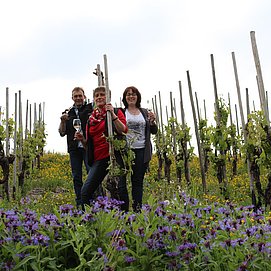 Weingut Rausch Konz-Obermennig (3)