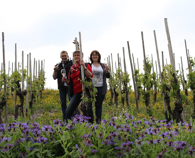 Weingut Rausch Konz-Obermennig (3)