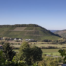 Ayler Kupp (2)
