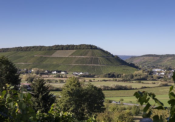 Ayler Kupp (2)