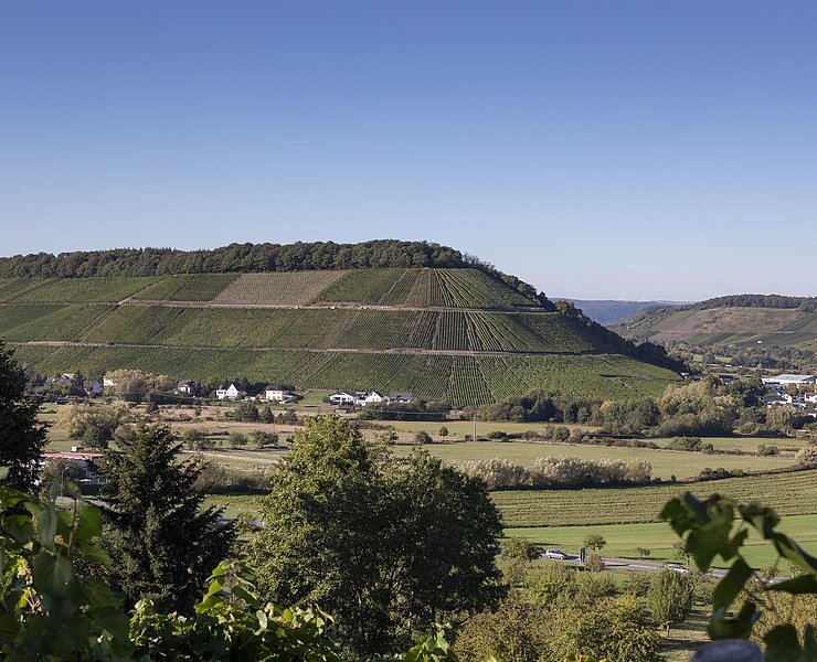 Ayler Kupp (2)