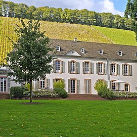 Weingut Von Othegraven, Kanzem (01)