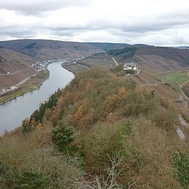 Blick vom Prinzenkopf-Turm Richtung Marienburg