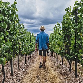 Weingut Schuster Oberemmel (01)