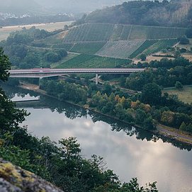 Weingut Peter Lauer Ayl (04)