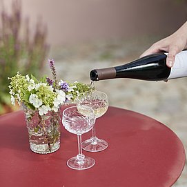Weinverkostung Weingut Cantzheim