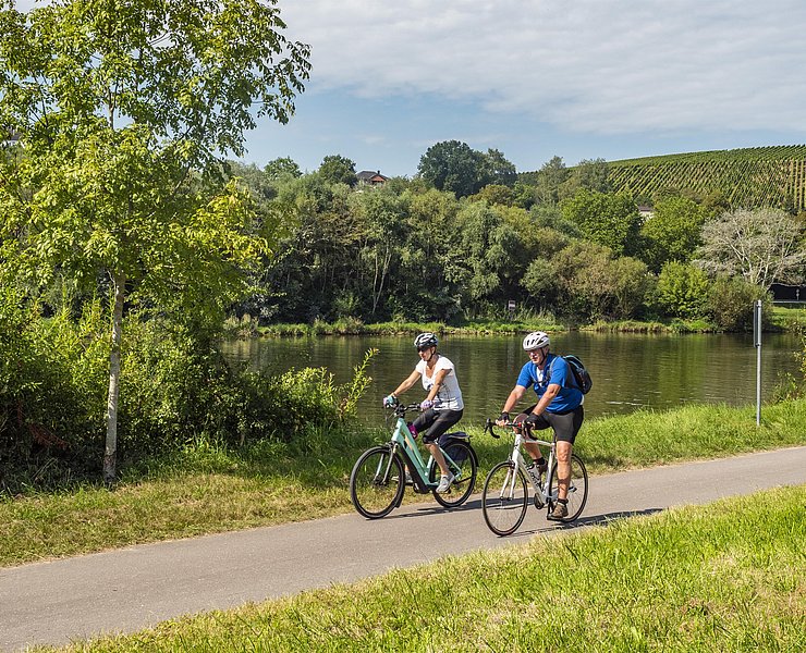 Saar-Radweg (1)