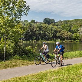 Saar-Radweg (1)