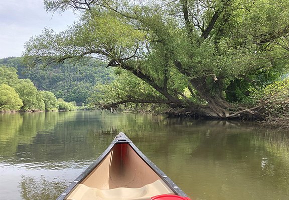 Kanuexpedition mit Naturguide (1)