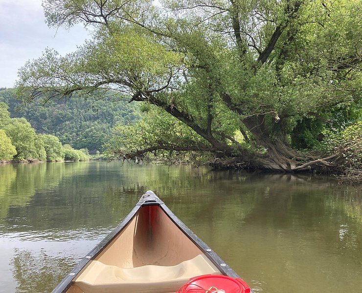 Kanuexpedition mit Naturguide (1)