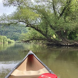 Kanuexpedition mit Naturguide (1)