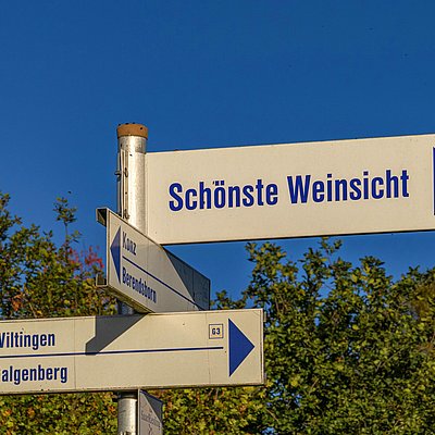 Foto: Schönste Weinsicht Wiltinger Galgenberg
