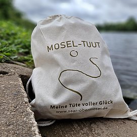 Saar-Mosel-Tuut (3)
