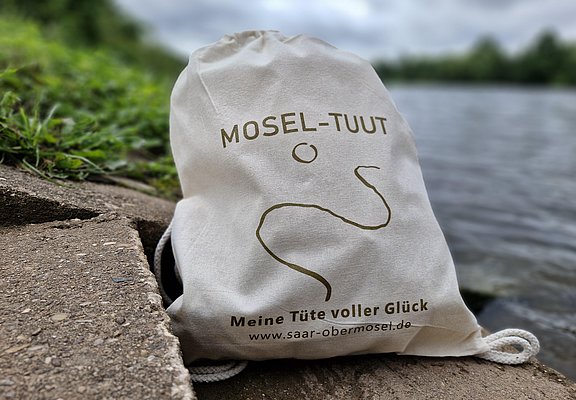 Saar-Mosel-Tuut (3)