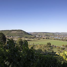 Blick auf Ayl