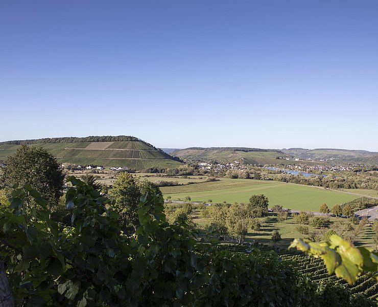 Blick auf Ayl
