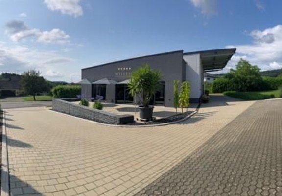 Weingut Willems Konz-Obermennig (03)