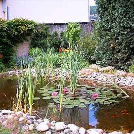 Garten