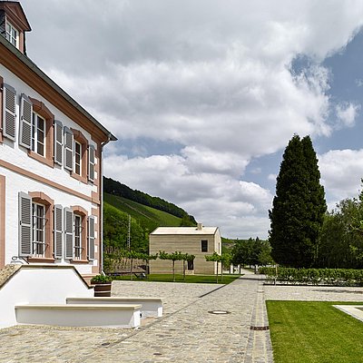Foto: Weingut Cantzheim (2)