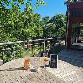 Weingut Schafhausen Kanzem (05)