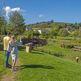 Lebensfluss in Fisch (03)