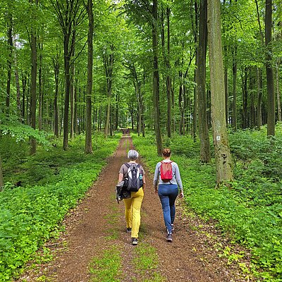 Foto: Wandern Saar-Obermosel