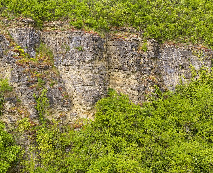 Kalkfelsen bei Nittel