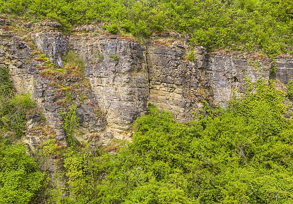 Kalkfelsen bei Nittel
