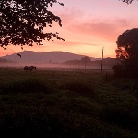 IMG_0160