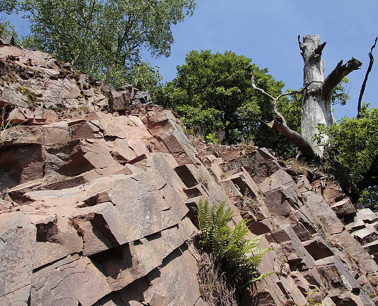 Saarsteilhänge am Kaiserweg (02)
