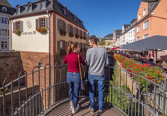 Wasserfall Saarburg (5)