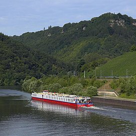 am Saar-Radweg (2)